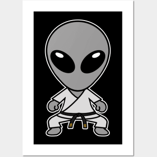 Karate Gray Space Alien Posters and Art